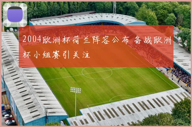 2004欧洲杯荷兰阵容公布 备战欧洲杯小组赛引关注