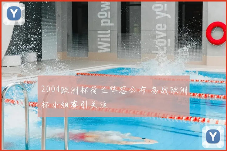 2004欧洲杯荷兰阵容公布 备战欧洲杯小组赛引关注