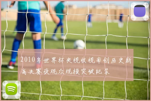 2010年世界杯央视收视率创历史新高决赛夜观众规模突破纪录