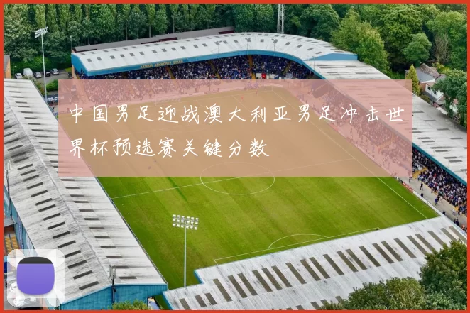 中国男足迎战澳大利亚男足冲击世界杯预选赛关键分数