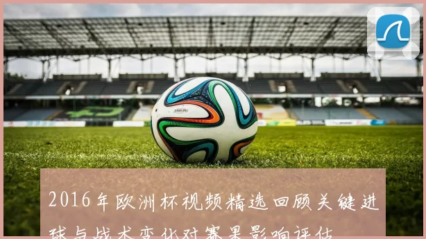 2016年欧洲杯视频精选回顾关键进球与战术变化对赛果影响评估