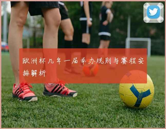欧洲杯几年一届举办规则与赛程安排解析
